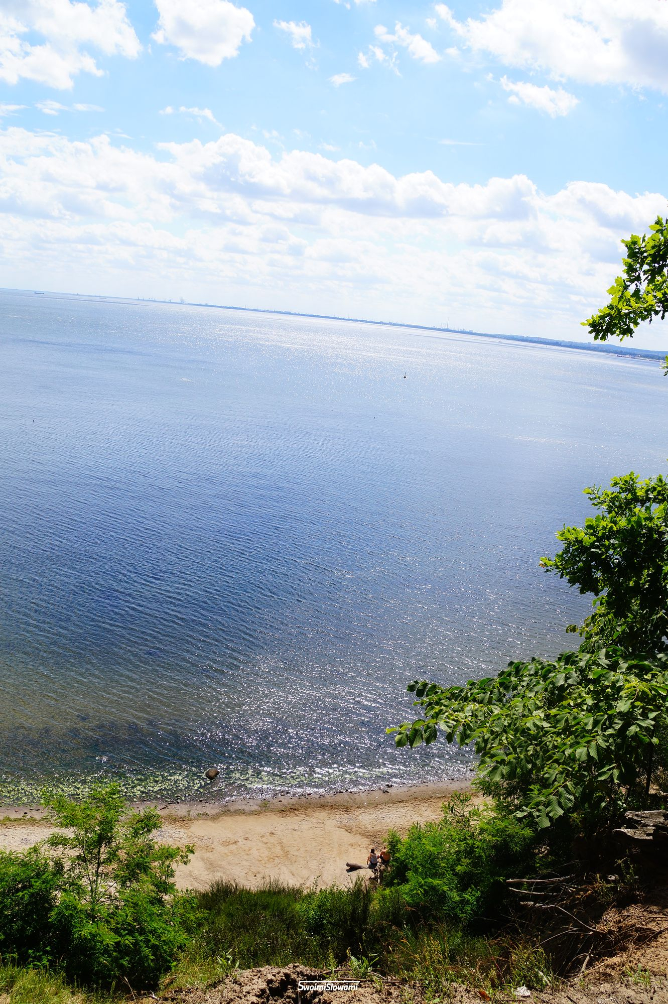 Gdynia Orlowo Klif 14.jpg